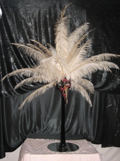 Feather Cascade